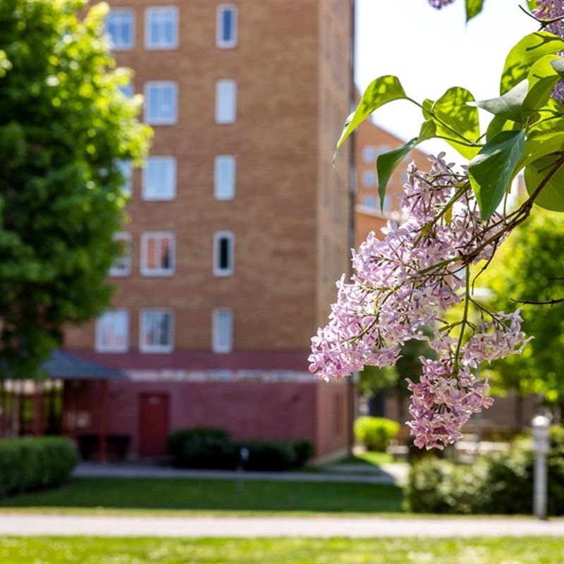 Gamla Lasarettsgatan 19 - Photo 1