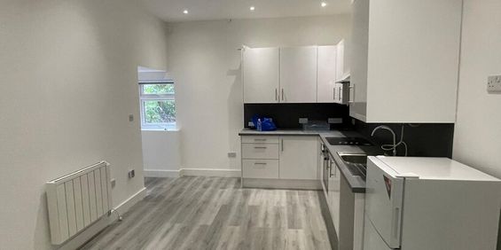 1497C LONDON ROAD NORBUEY SW16 - Photo 3