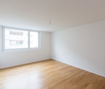 3 ½ room apartment, 4665 Oftringen - Foto 1