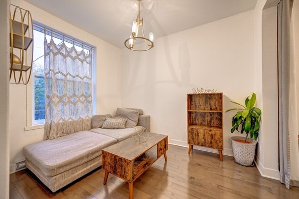 Appartement à louer - Montréal (Le Plateau-Mont-Royal) (Le Plateau-Mont-Royal) - Photo 1