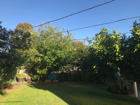 Glen Waverley - Photo 2