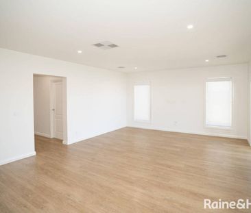 Jump into Jumbuck - Photo 2