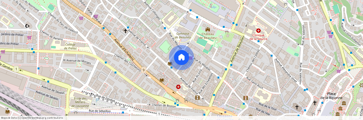 Chemin des Rosiers 4, 1004 Lausanne