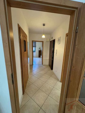 MIESZKANIE na WYNAJEM SZCZECIN (435585) - Photo 5