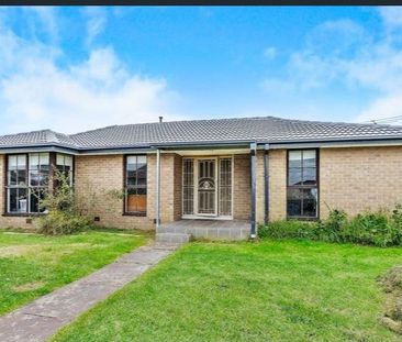 Cozy family home in central location! - Photo 1