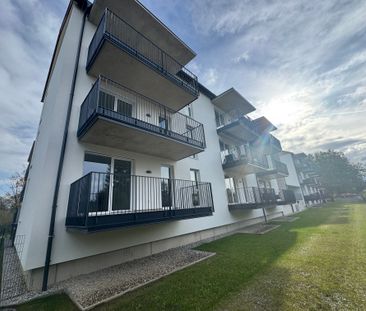 Sonnige Wohlfühloase mit Balkon – moderne 2 Zimmer Mietwohnung (48,... - Foto 4