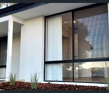 NEWLY RENOVATED FAMILY HOME 4x2 - Photo 5