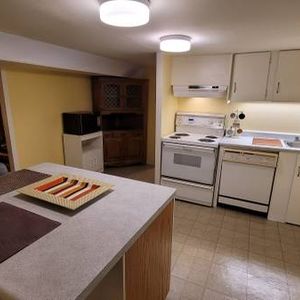 Spacious, Furnished 1-Bedroom Basement - near Leslie &York Mills - Cit - Photo 2