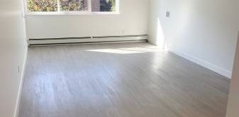 Fully renovated STUDIO in the heart of Kitsilano - Photo 2