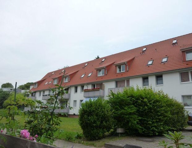 Gemütliche Dachgeschosswohnung zur Miete in Geesthacht- Wentzel-Dr. - Photo 1