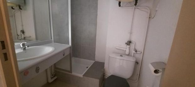 Location Appartement 1 pièce 19m² TOULOUSE 31000 - Photo 1