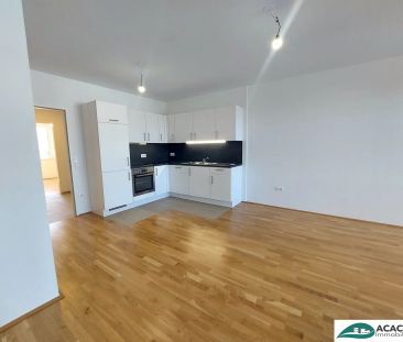 Ihr Familientraum - großzügige 4-Zimmerwohnung im Wohnpark Tullnerf... - Foto 2