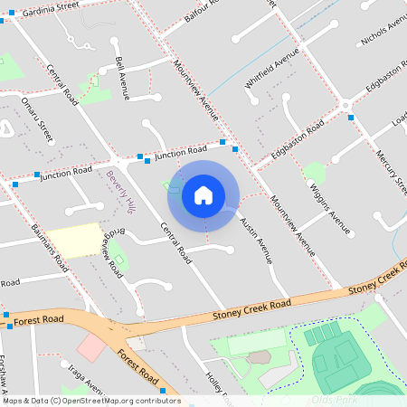 25 Austin Avenue, NSW 2209, Beverly Hills