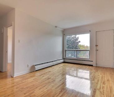 1 CH - 1 SDB - Montréal - $1,100 /mo - Photo 4