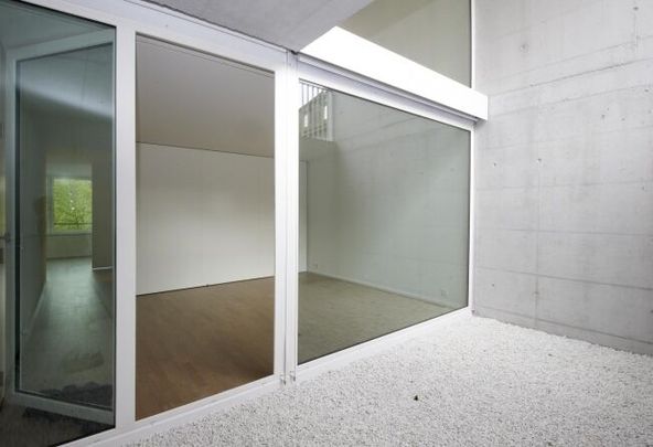 Duplex apartment with view of Lenzburg Castle - Photo 1