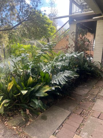 Belimbla Park - Photo 5