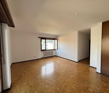 MENDRISIO – 3.5 LOCALI METRATURE AMPIE E COMFORT MODERNI - Foto 2