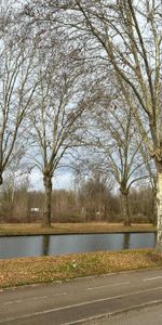 Appartement 1 pièce à Illkirch-Graffenstaden - Photo 4