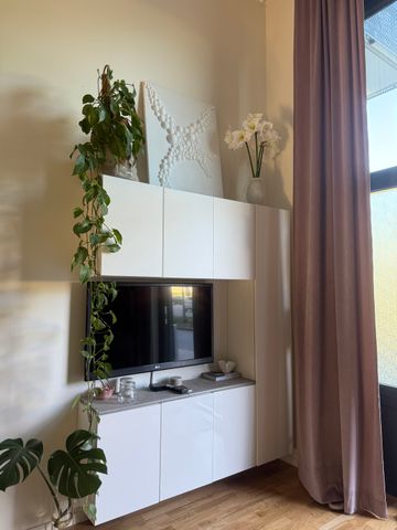 Storseglet, Vega - Foto 5