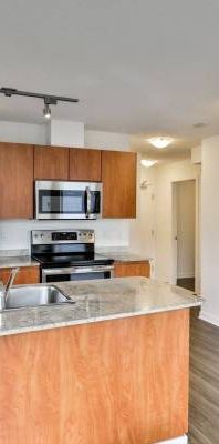 Dishwasher, 1/bd 1/ba, Vancouver BC - Photo 1