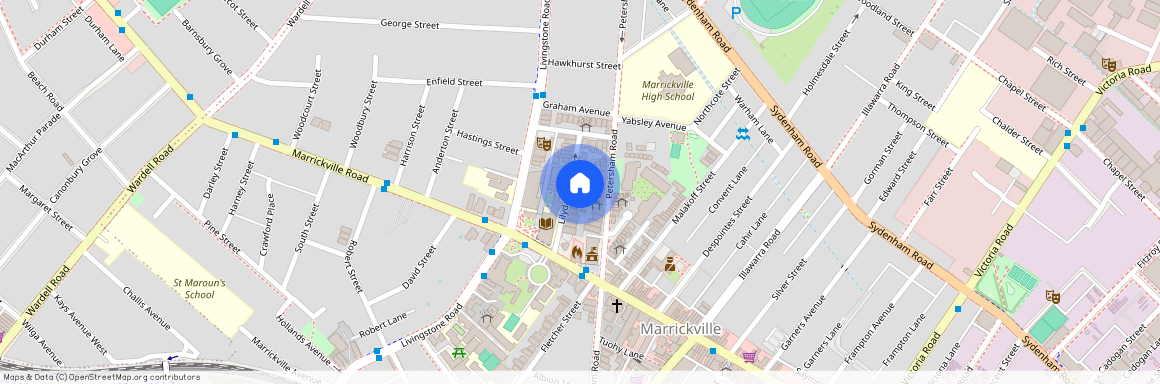 17 Lilydale Street, NSW 2204, Marrickville