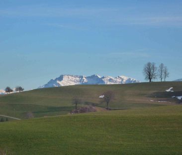 2.5 Zimmer, 95 m², 2. Stock - Foto 5