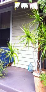 East Fremantle - Photo 4