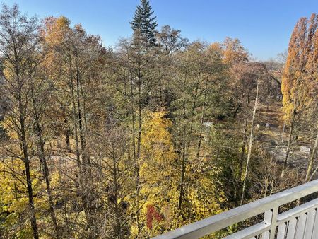 Mieszkanie na wynajem, Gorzów Wlkp., Śródmieście - Zdjęcie 5