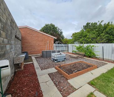 7 Mulqueeny Street, Wodonga VIC 3690 - House For Rent | Domain - Photo 1