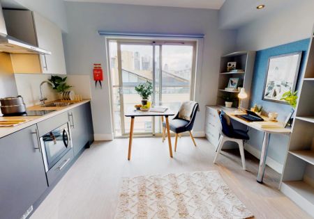 Platinum Penthouse Plus - Photo 4