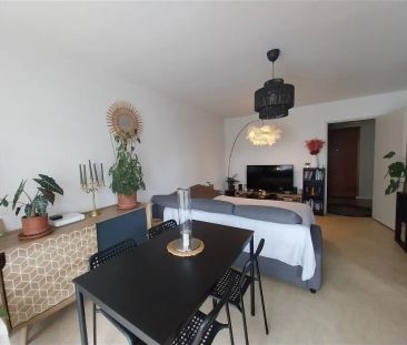 Location appartement 1 pièce - 36m² à Dax (40100) - Photo 3