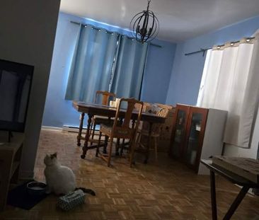 Chambre a louer - Photo 1