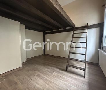 Location Appartement 1 pièce 29m² GRENOBLE 38100 - Photo 2