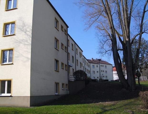 Demnächst frei! 4-Zimmer-Wohnung in Detmold Hiddeser Berg - Foto 1