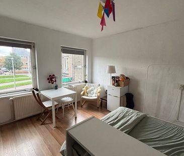 Johan de Wittlaan - Foto 3