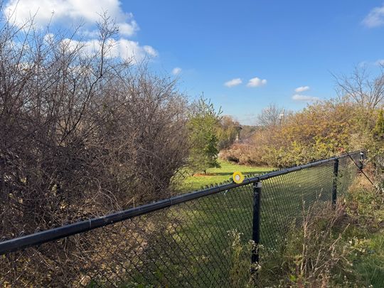 For Lease - 102 Southlake Boulevard Unit# Basement, Brampton, Ontario - Photo 1