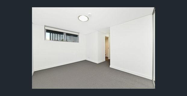 Huge indoor/outdoor open plan living - Photo 1