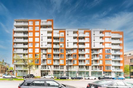 Appartement - 950 Rue Notre-Dame O. - Photo 5