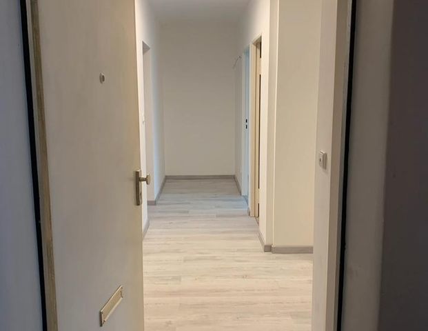 2,5 Zimmerwohnung in ruhiger Lage befristet - Photo 1