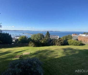 2 bed ground floor flat to rent in Marina Drive, Brixham, TQ5 - Photo 4
