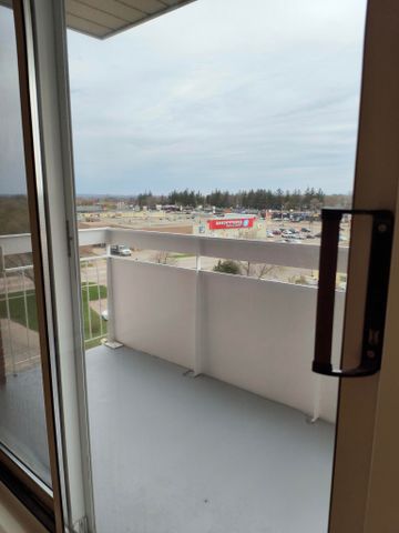 44 Oxford Apartments - Photo 5