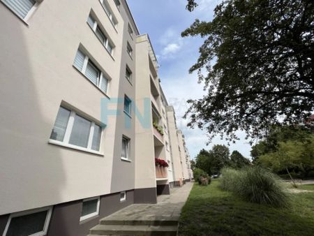 +++Geräumige frisch sanierte 3Raumwohnung in Bad Düben+++ - Photo 3