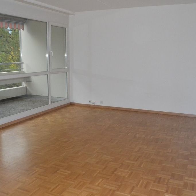 Quartier de la Gradelle - Chêne-Bougeries - Foto 1