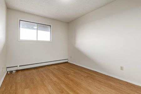1 Bedroom - Photo 4
