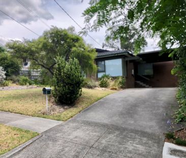 GREAT FAMILY LIVING IN A PERFECT LOCATION - Photo 5