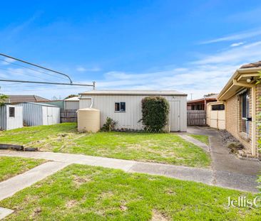 Easy Living in Sebastopol - Spacious Yard and Great Storage - Photo 5