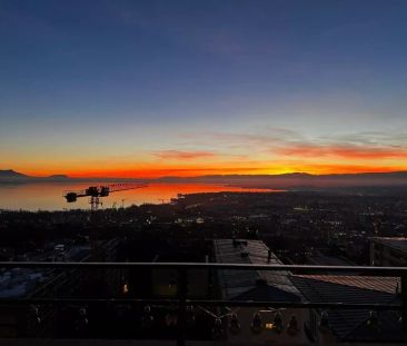 Magnifique 2 pièces avec vu sur le lac à Lausanne - Photo 4