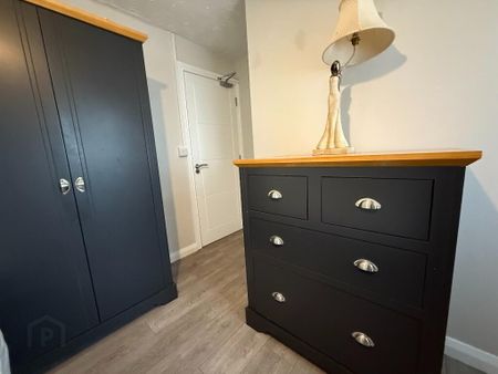 44 Oaks Road, Room Lets, Dungannon, BT71 4AS - Photo 5