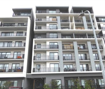 G12/8 Olive York Way, Brunswick West VIC 3055 - Apartment For Rent ... - Photo 5