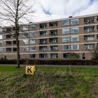 Paramaribostraat, 2315 Leiden, Nederland - Foto 1